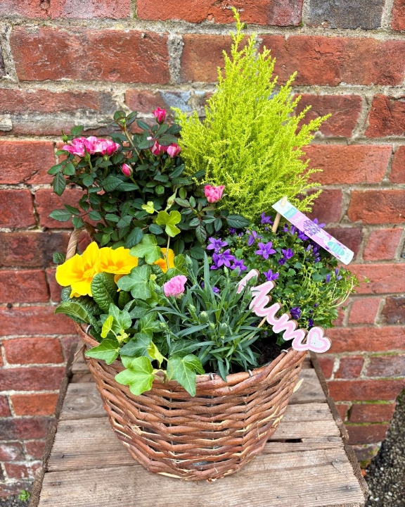 Mixed Mothers Day Planter