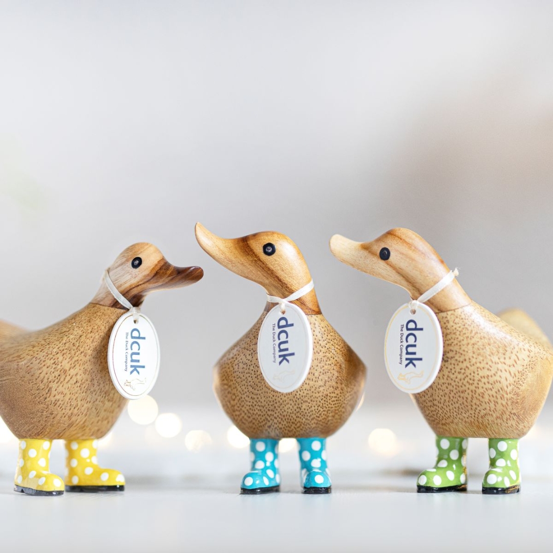 Spotty Welly Ducky