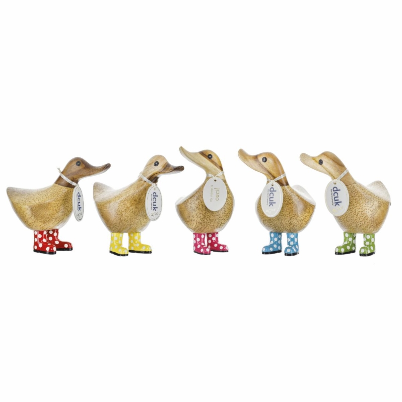 Spotty Welly Ducky