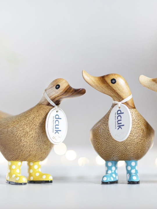 Spotty Welly Ducky