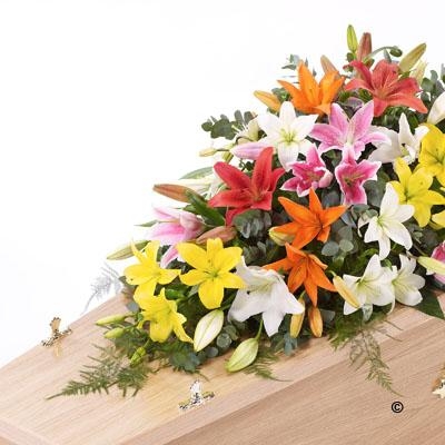 Lily Casket Spray   Mixed Colours