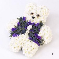 Teddy Bear Tribute   Blue