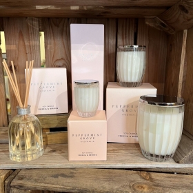 Peppermint Grove Candles