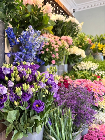 The Fortnightly Packages