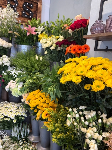 The Monthly Packages