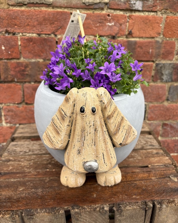 Dog Planter