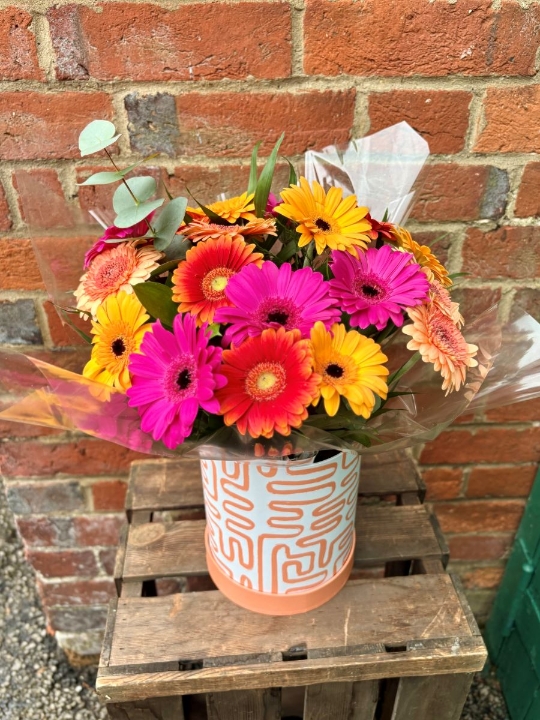 A bright and colourful germini flower arrangement in shades of pink, orange, and yellow, presented in a modern patterned gift box.