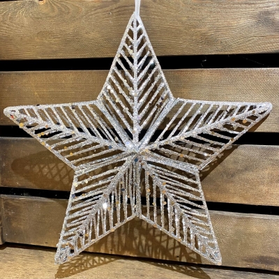 Sparkling Silver Christmas Star.