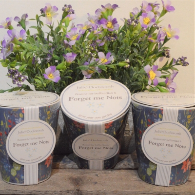 Forget Me Not Seed Pot