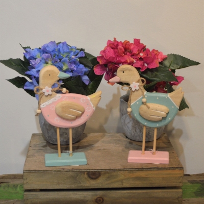 Wooden Ducks