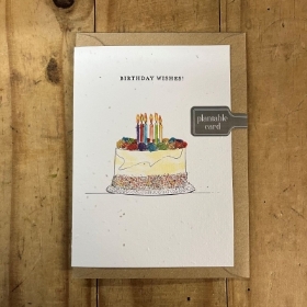 Birthday Cake Seed Card