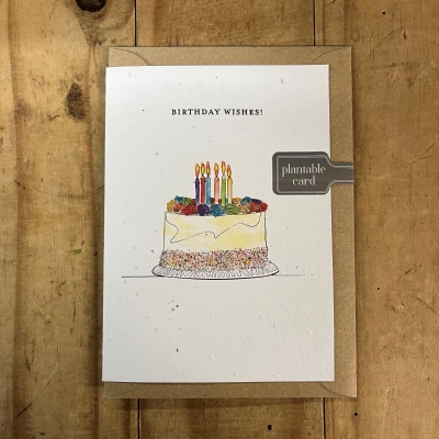 Birthday Cake Seed Card