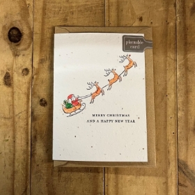 Santa and Sleigh Seed Card