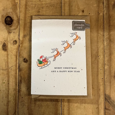Santa and Sleigh Seed Card