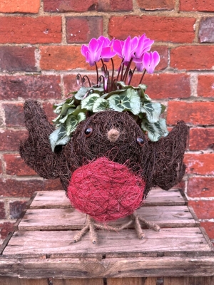 Robbie Robin Planter