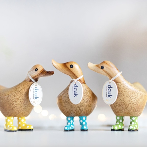 Spotty Welly Ducky
