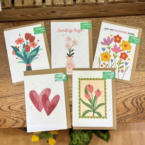 All Occasion Plantable Cards