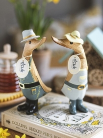 Beekeeper Duckling