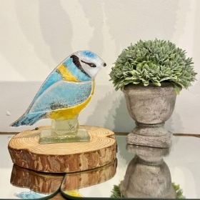 Blue Tit