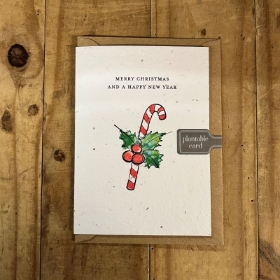 Candy Cane Christmas Seed Card
