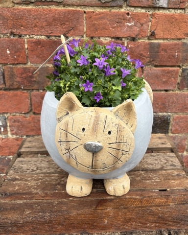 Cat Planter
