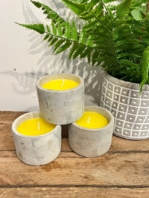 Citronella Candle
