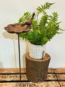 Flower Bird Bath