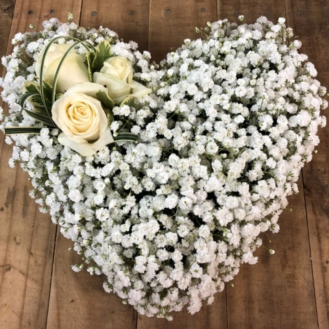 Gypsophila Heart