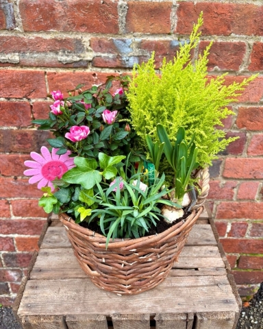 Mixed Pink Planter