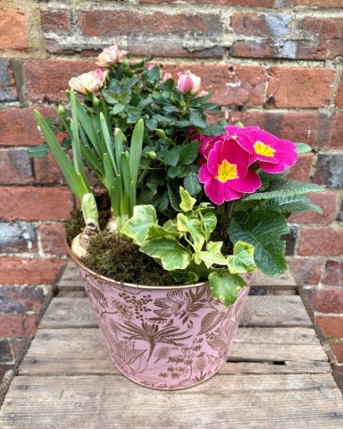 Pink Mothers Day Planter