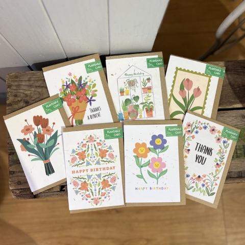Plantable Wildflower Seed Card