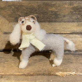 Professor Poodle