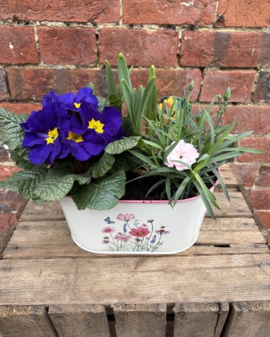 Spring Planter