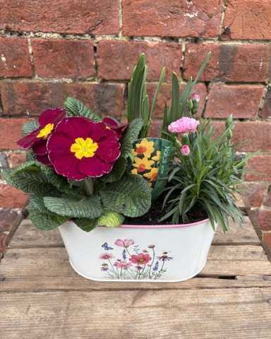 Spring Planter