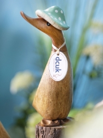 Toadstool Duckling